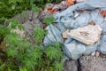 ÃÂ¡onstruction garbage, debris and waste rubble in a remote green area. Nature and soil pollution concept. Royalty Free Stock Photo